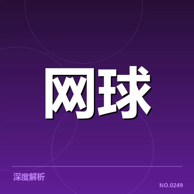 官方确认的比赛胜利名单及赛程布局